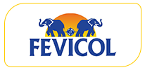 Fevicol